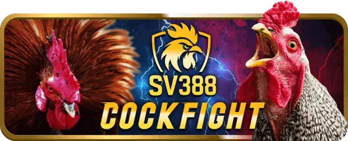 Các chương trình khuyến mãi vic88 app